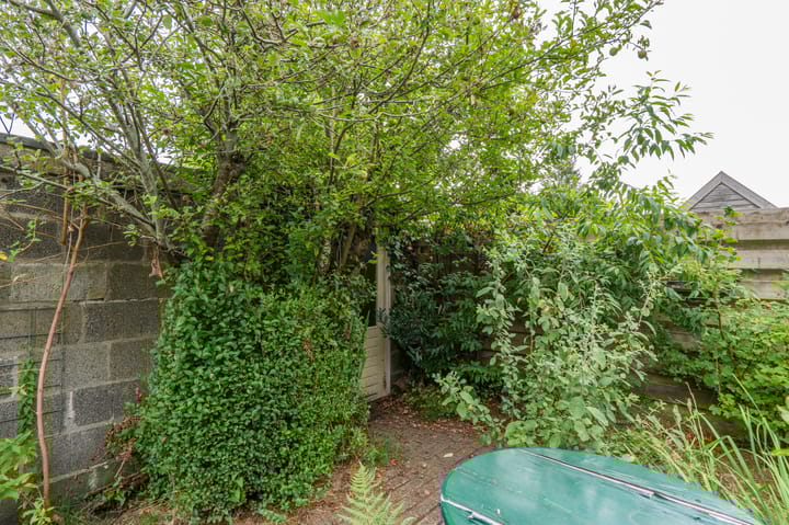 Foto 46 van Oosterpark 19