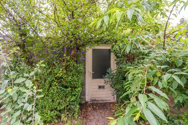 Foto 47 van Oosterpark 19