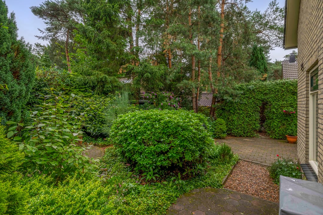 Foto 28 van Paaslohof 35