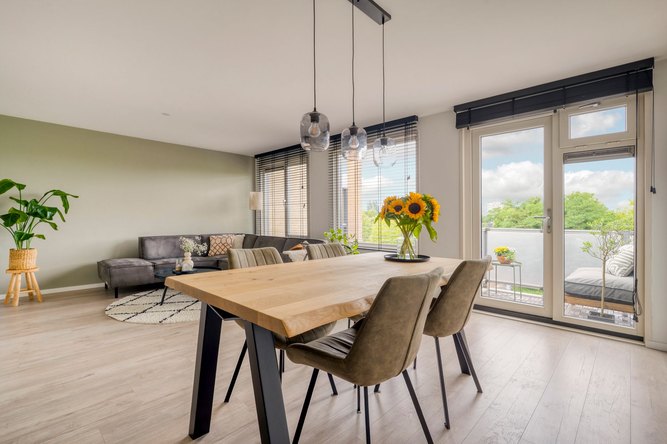 Foto 15 van Orion 73