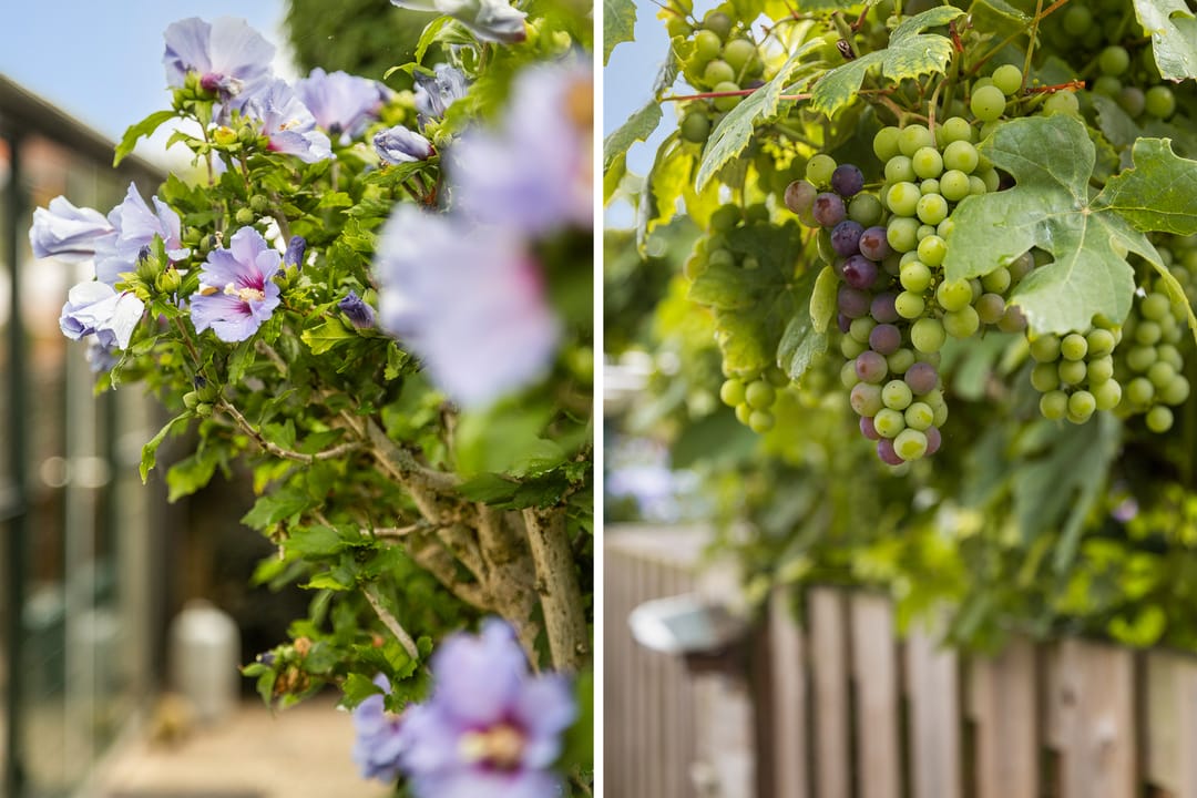 Foto 28 van Wilhelminastraat 30