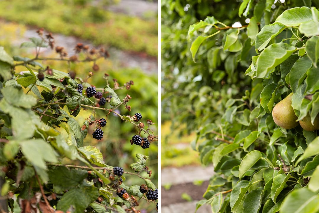 Foto 31 van Wilhelminastraat 30