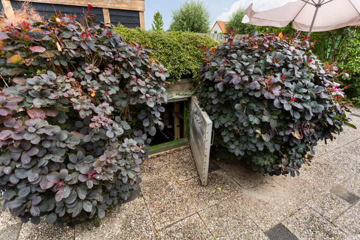 Foto 39 van Wilhelminastraat 30