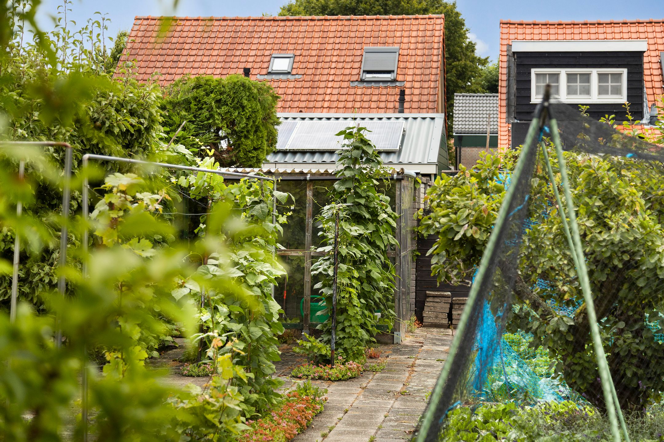 Foto 42 van Wilhelminastraat 30