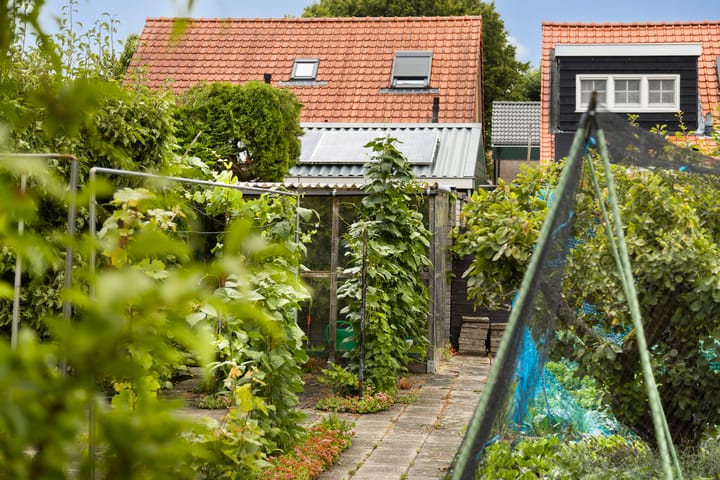 Foto 42 van Wilhelminastraat 30