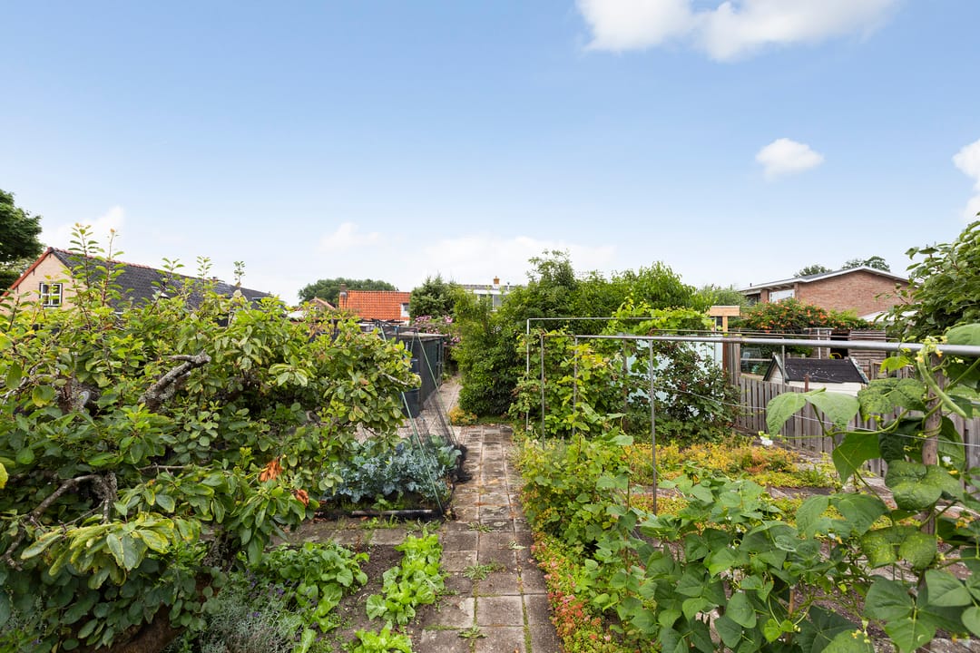 Foto 43 van Wilhelminastraat 30