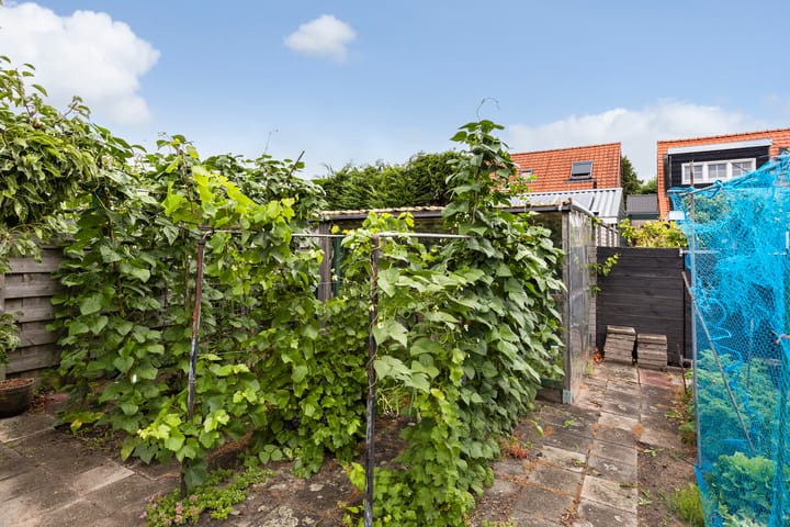 Foto 44 van Wilhelminastraat 30