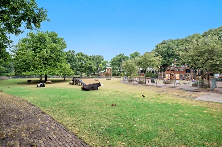 Foto 50 van Soetensstraat 4