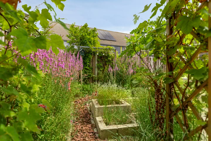 Photo 25 of Touwslager 26