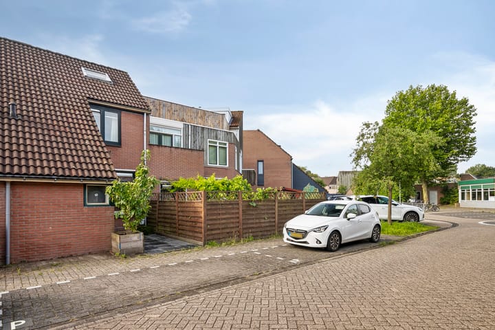 Foto 37 van Lepelblad 6