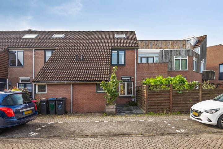 Foto 7 van Lepelblad 6