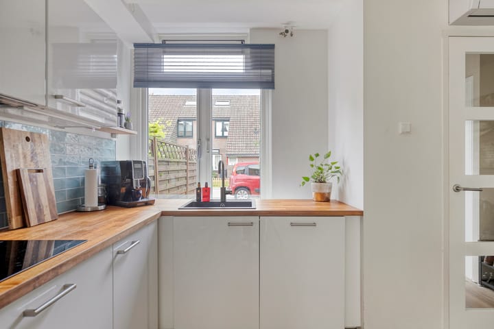 Foto 19 van Lepelblad 6