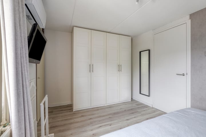 Foto 24 van Lepelblad 6