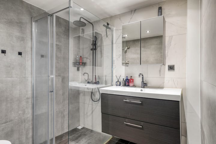 Foto 5 van Lepelblad 6