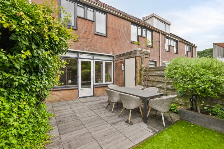 Foto 34 van Lepelblad 6