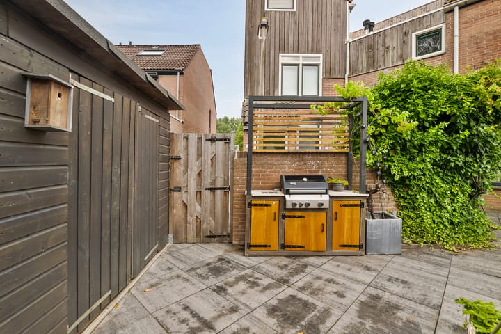 Foto 35 van Lepelblad 6