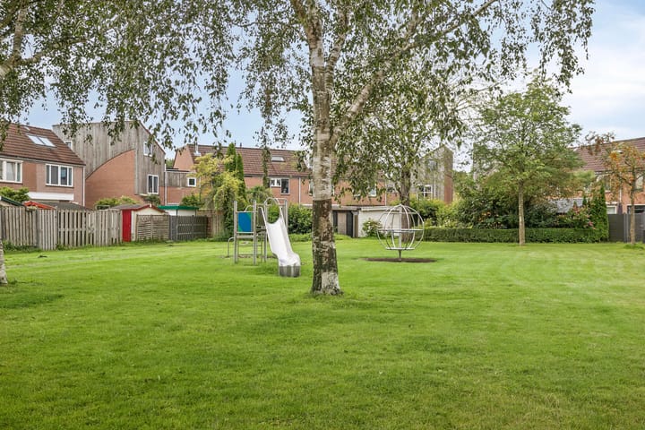 Foto 38 van Lepelblad 6