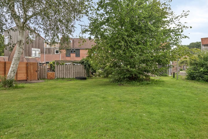 Foto 39 van Lepelblad 6