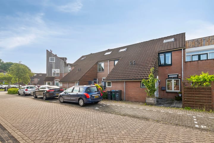 Foto 1 van Lepelblad 6