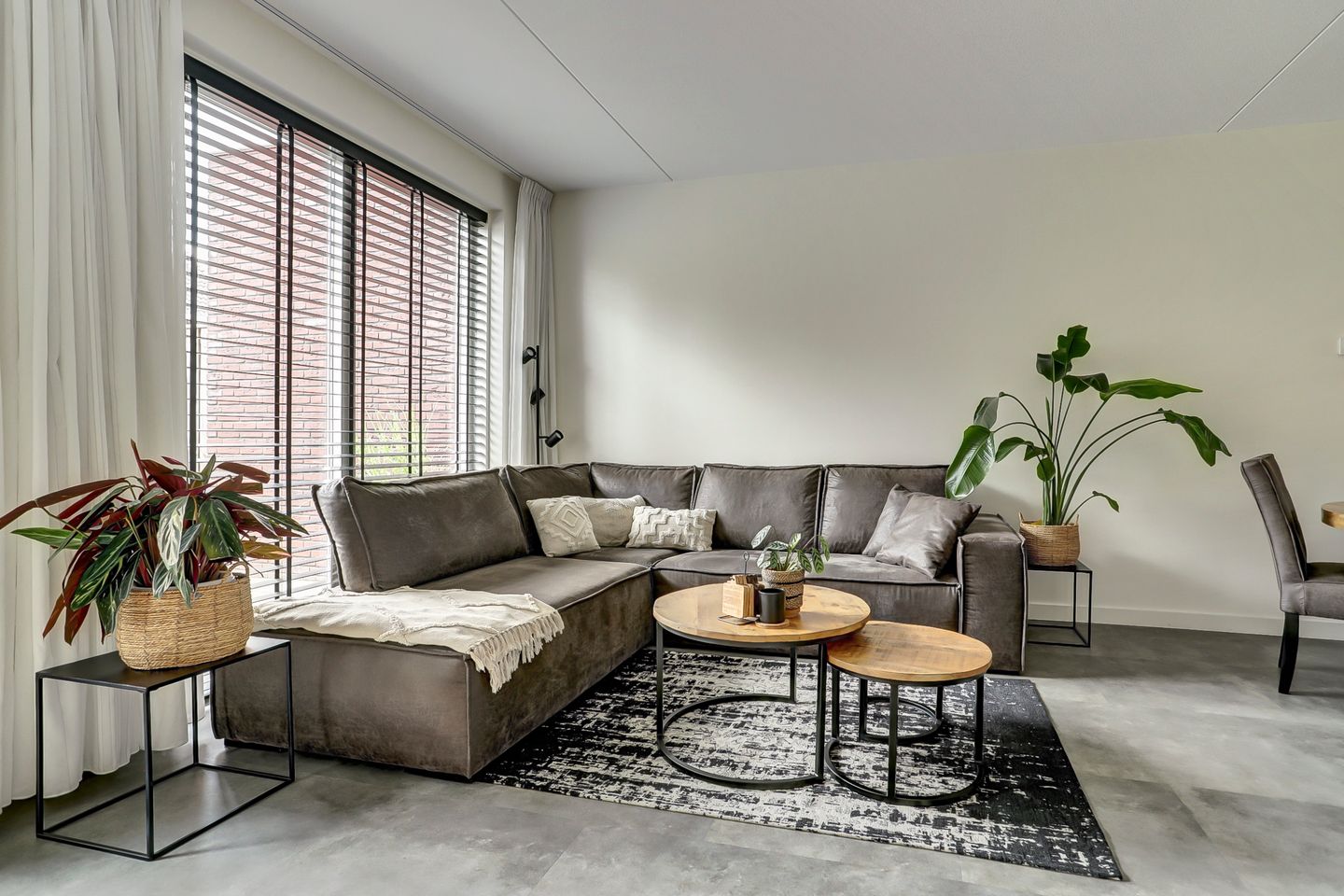 Foto 10 van Paulus Potterstraat 1-B