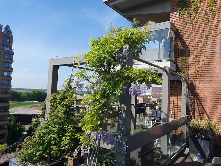 Foto 70 van Willemspoort 69