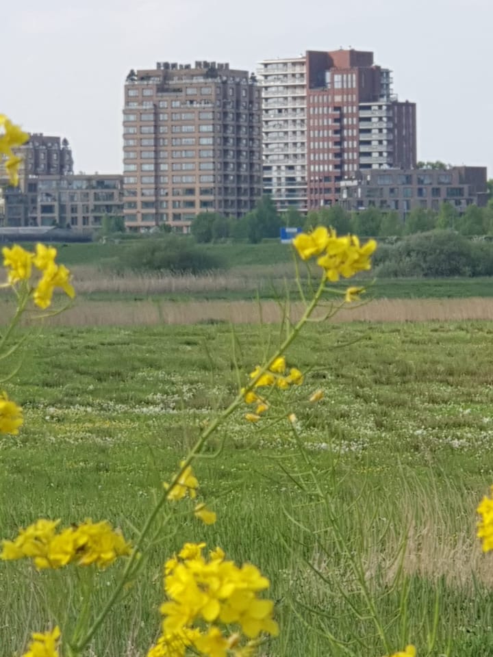 Foto 72 van Willemspoort 69