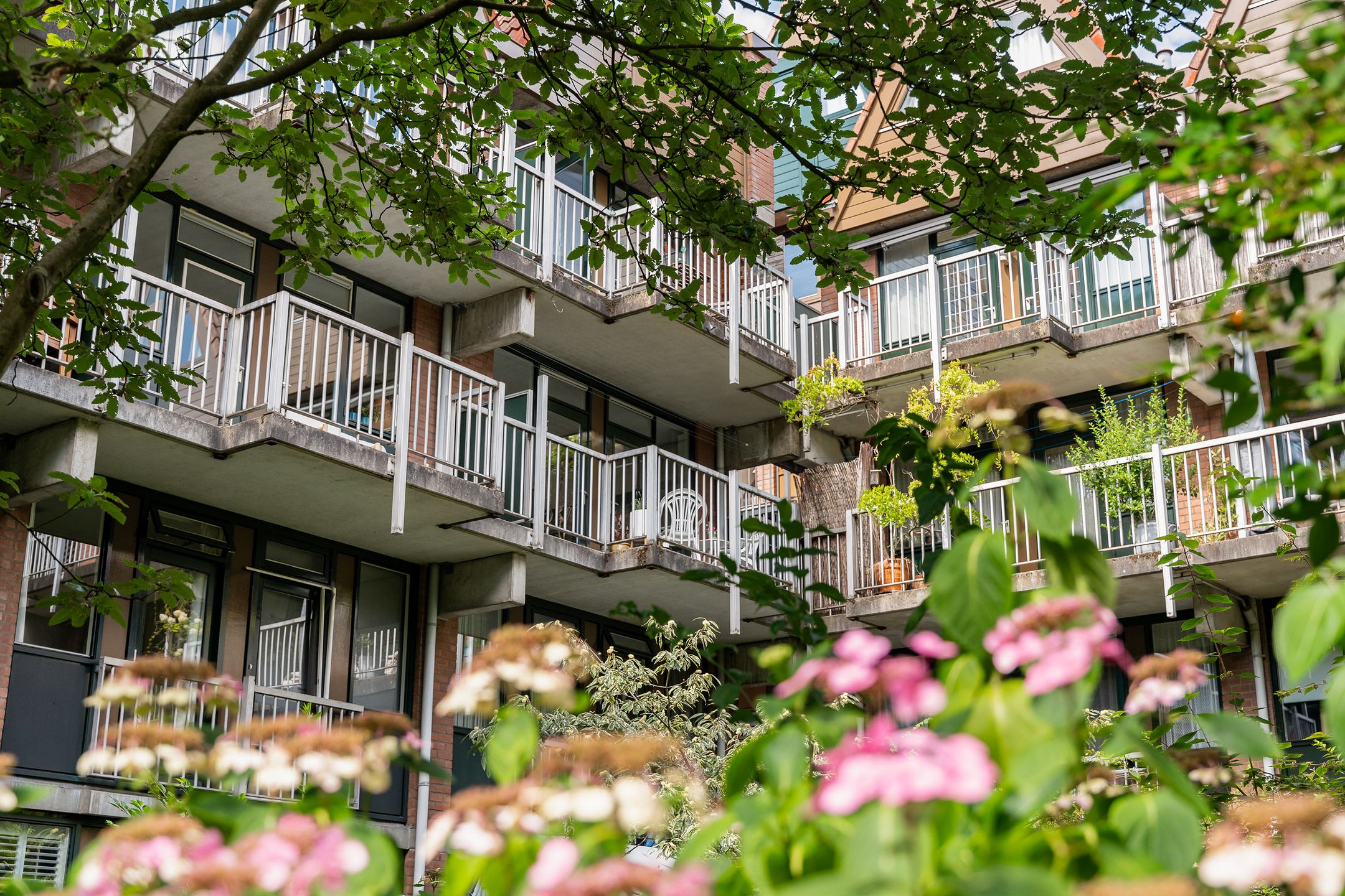 Foto 24 van Stroveer 28