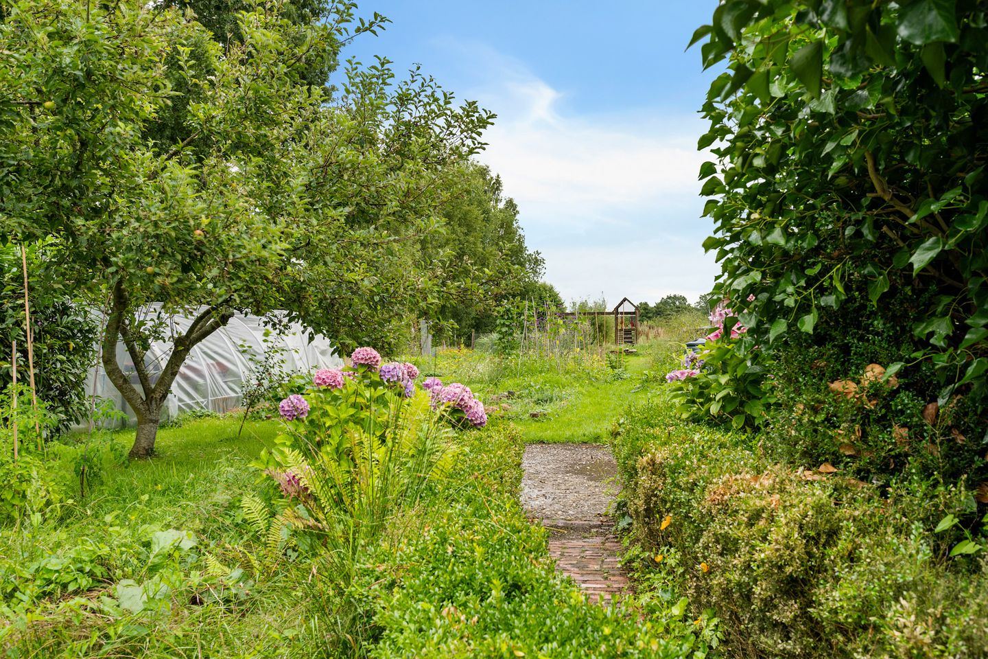 Foto 40 van Weinterp 37