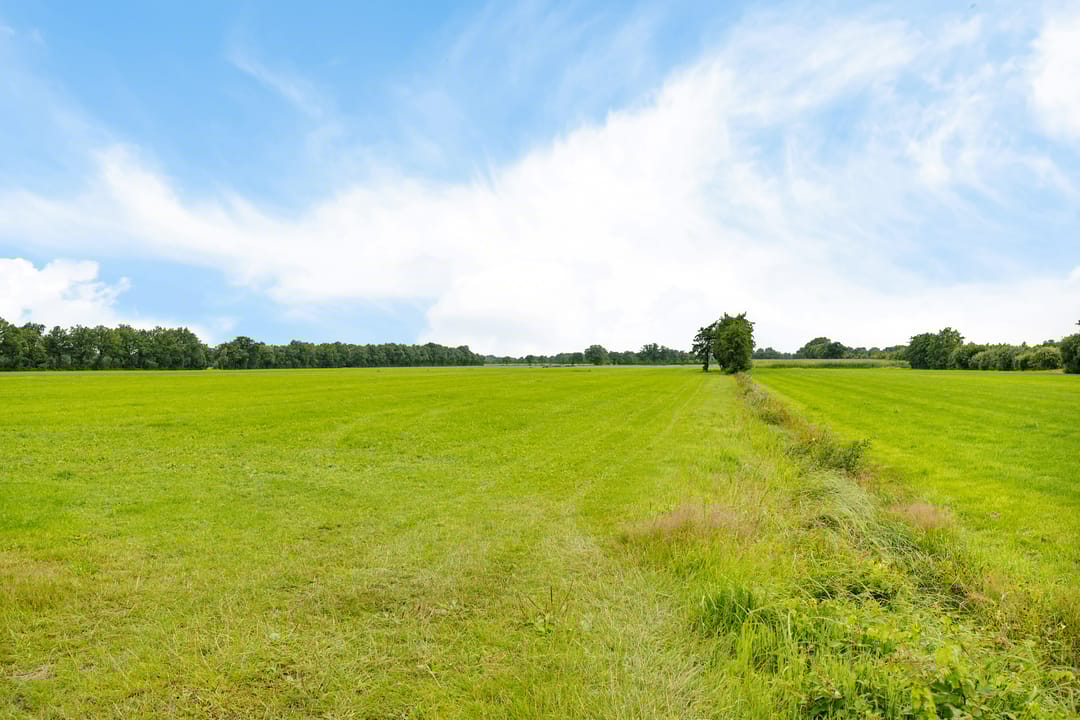 Foto 47 van Weinterp 37