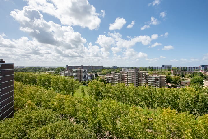 Foto 4 van Ocarinalaan 434