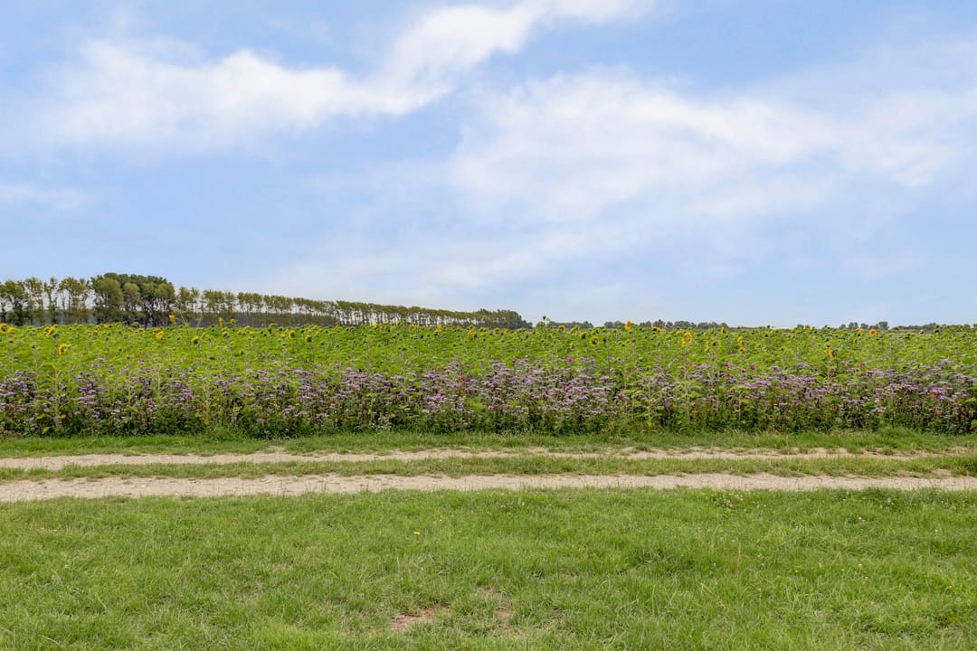 Photo 32 of Provincialeweg 5