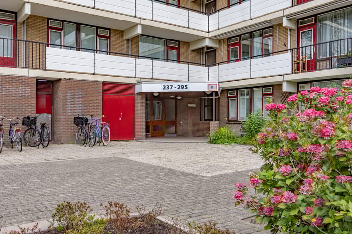 Foto 19 van Hammarskjöldlaan 237