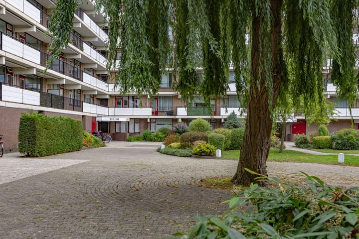 Foto 21 van Hammarskjöldlaan 237