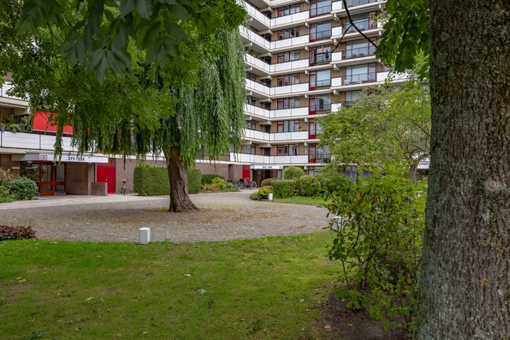 Foto 22 van Hammarskjöldlaan 237