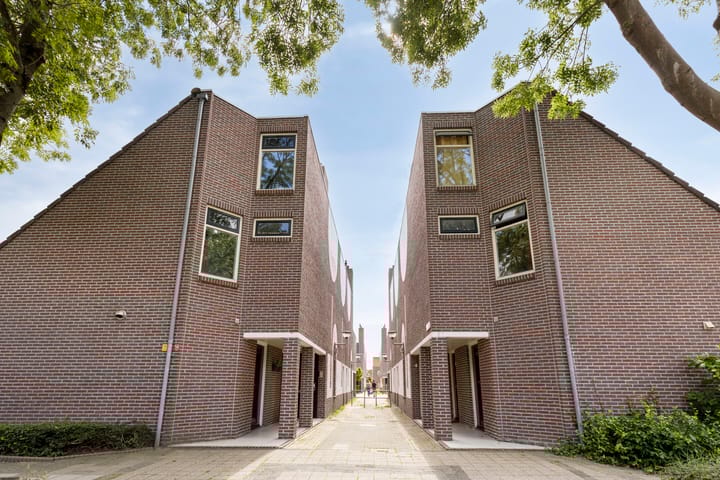 Foto 4 van Molbord 4