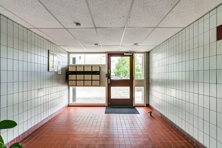 Foto 6 van Domela Nieuwenhuisweg 172