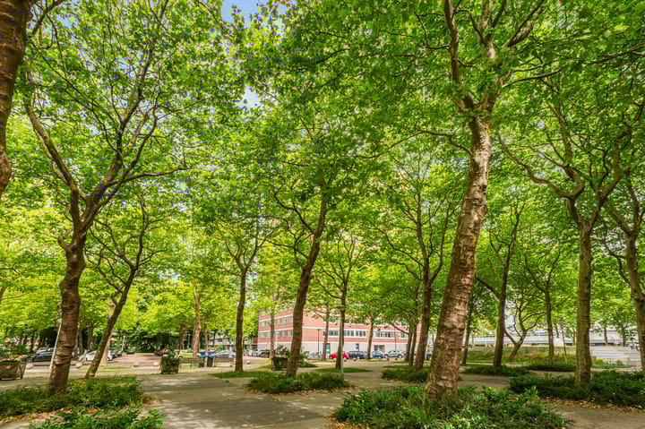 Foto 25 van Het Breed 873