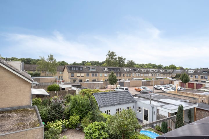 Foto 29 van Bosveld 135