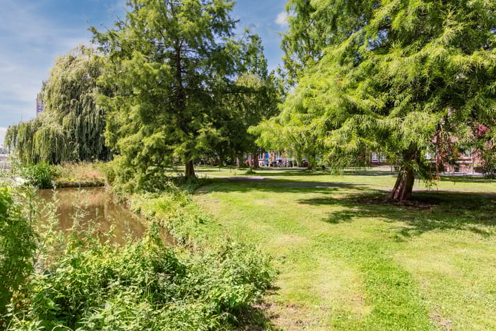 Foto 44 van La Palma 40