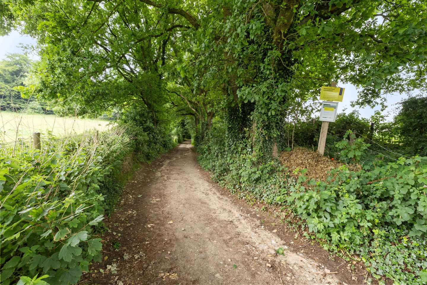 Foto 44 van Arnhemsestraatweg 42-A