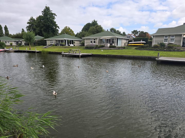 Foto 4 van Friesche Vlaak 18