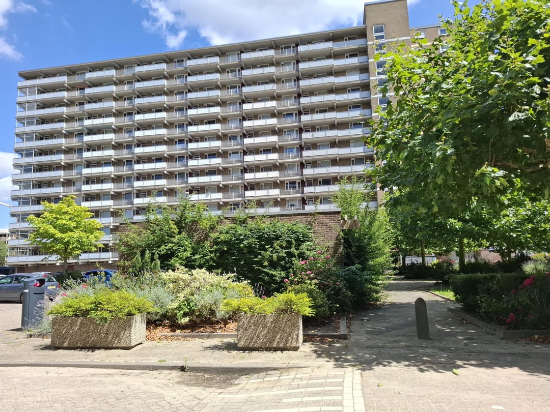 Photo 22 of Veenoord 332