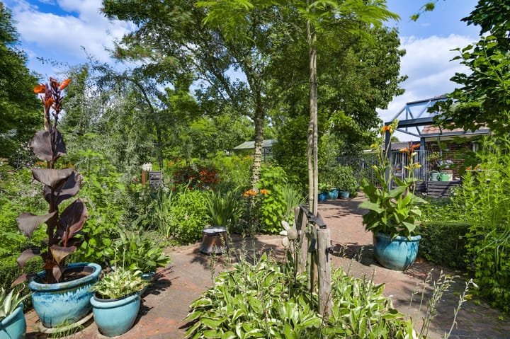 Photo 24 of Burgemeester Mertensstraat 10