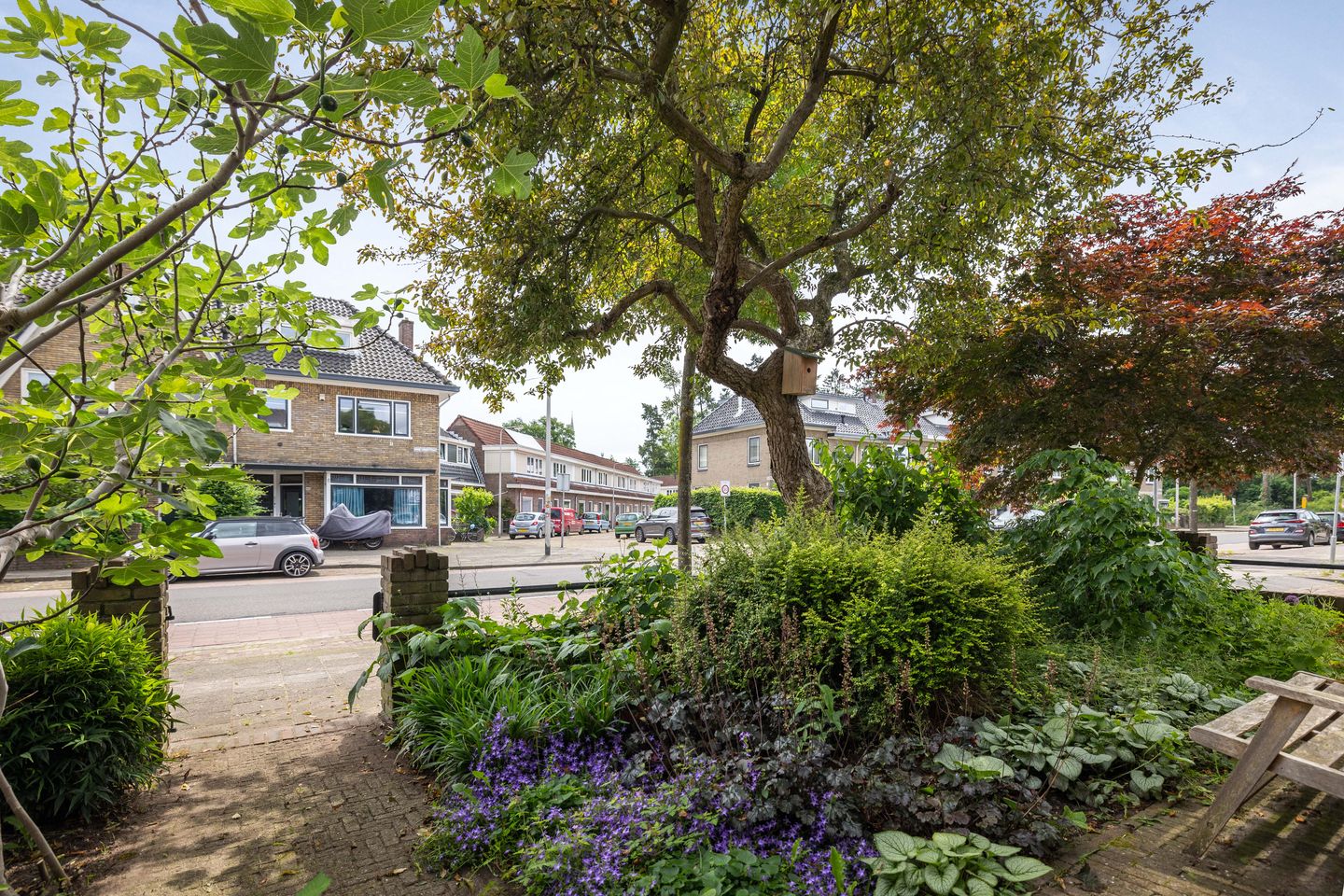 Foto 4 van Hoge Hondstraat 91