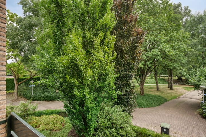 Foto 35 van De Poter 1