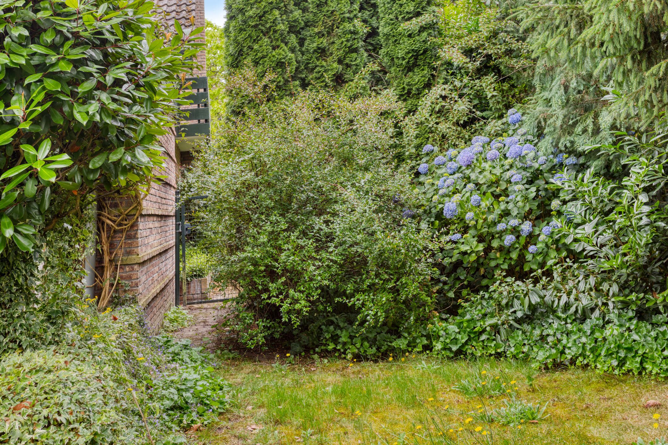 Foto 36 van De Poter 1