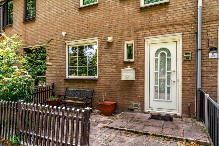 Foto 6 van Borstelgras 58