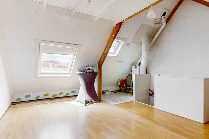 Foto 26 van Borstelgras 58