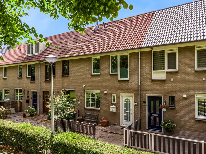 Foto 30 van Borstelgras 58