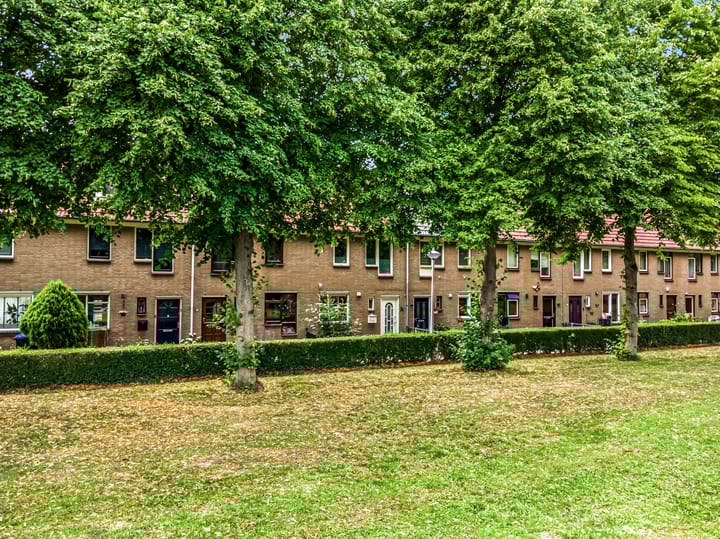 Foto 32 van Borstelgras 58